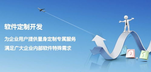 寧河企業管理系統開發 軟件外包服務的優勢與實施策略